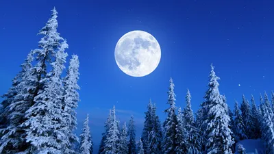 Теплый февраль, Рем Сайфульмулюков- картина, зимний пейзаж, лес, река,  снег, березы, реализм
