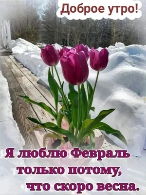 Ура Февраль Скоро Весна Картинки Прикольные – Telegraph