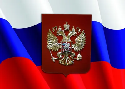 Флаг, герб и гимн — гордость страны, считают более 70% граждан РФ: опрос
