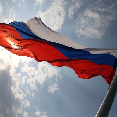 5 вариантов флага России | АК | Дзен