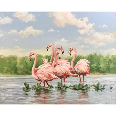 Места, где можно увидеть фламинго во Флориде | RUMesto - портал  русскоязычного сообщества в США