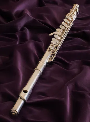 Блок-флейта Yamaha YRS-23 пластиковая, До-сопрано, немецкая система -  купить в интернет-магазине Глинки.ру