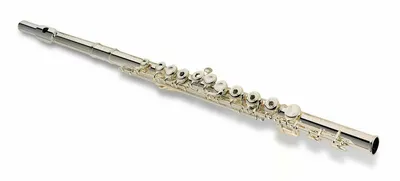 Флейта-пикколо Selmer SPC411 — купить в Киеве, Одессе | Цена, описание,  отзывы, гарантия | Komora