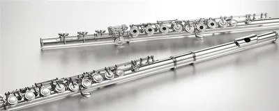 В этой статье мы расскажем, на какие особенности при выборе флейты стоит  обратить внимание