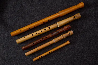 Бамбуковая поперечная флейта купить | TA-MUSICA