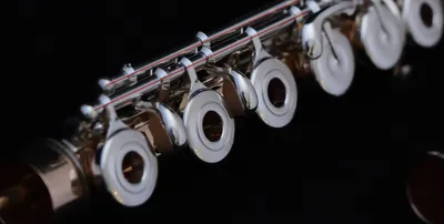 Флейты , бамбуковые флейты, поперечная флейта: 15 000 тг. - Духовые  инструменты Алматы на Olx