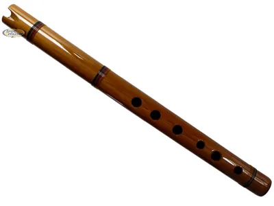 Музыкальный инструмент бамбук \"Флейта\" 30x2,5x2,5 см купить в Чите Флейты в  интернет-магазине Чита.дети (4165860)