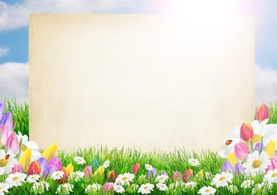 Фон весны с цветами» стоковое фото. изображение насчитывающей цвет -  172742762
