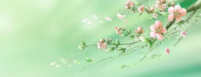 Весенний Фон — стоковые фотографии и другие картинки Весна - Весна, Фоновые  изображения, Цветок - iStock