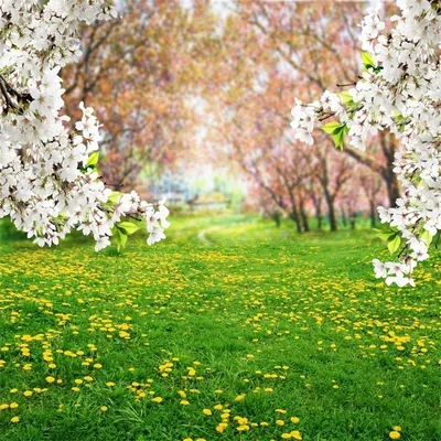 Весенний Фон — стоковые фотографии и другие картинки Фоновые изображения -  Фоновые изображения, Весна, Цветок - iStock