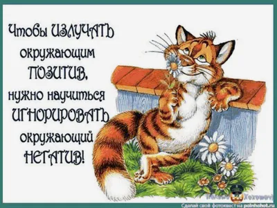 Позитивчик для друзей,.. | Слышу,вижу-расскажу! | Дзен