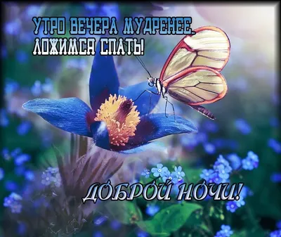 Позитивчик пушистый, мягкий, приятный …» — создано в Шедевруме