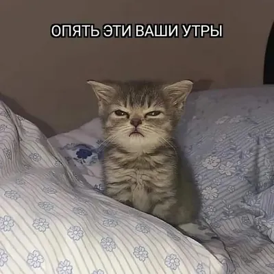 Позитивчик для друзей – смотреть онлайн все 3 видео от Позитивчик для  друзей в хорошем качестве на RUTUBE