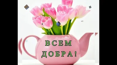 Скоро весна улыбнётся цветами :: Юрий. Шмаков – Социальная сеть ФотоКто