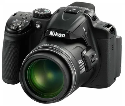 Фотоаппарат Nikon Coolpix L31 Black (VNA871E1)
