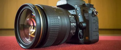 Обзор от покупателя на Цифровой зеркальный фотоаппарат Nikon D3100 Kit  18-55 VR (объектив со стабилизацией) — интернет-магазин ОНЛАЙН ТРЕЙД.РУ