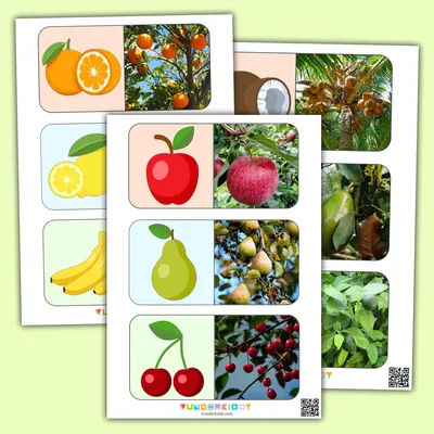 Картинки фрукты по отдельности - 75 фото