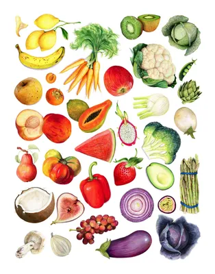 Нарисованные фрукты и овощи - 73 фото
