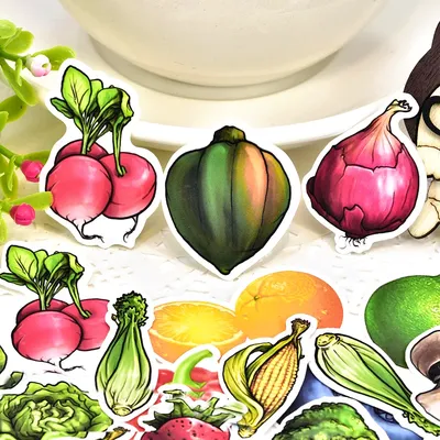 Нарисованные от руки красочные фрукты изображение_Фото номер 728561318_PSD  Формат изображения_ru.lovepik.com