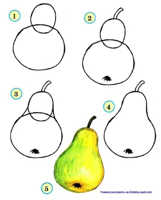 Учимся рисовать фрукты — Все для детского сада | Груша, Легкие рисунки,  Уроки акварельной живописи