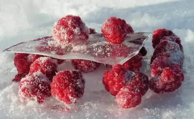 свежие фрукты. кусочки свежих фруктов на льду. Стоковое Изображение -  изображение насчитывающей естественно, свеже: 218571817