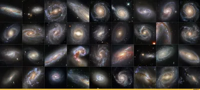 Хаббл» прислал фото галактики-медузы | Новости космоса | Дзен