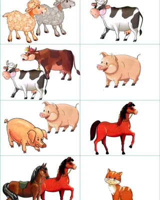 Как много животных обучают детей Иллюстрация вектора - иллюстрации  насчитывающей перечислите, носорог: 160774092
