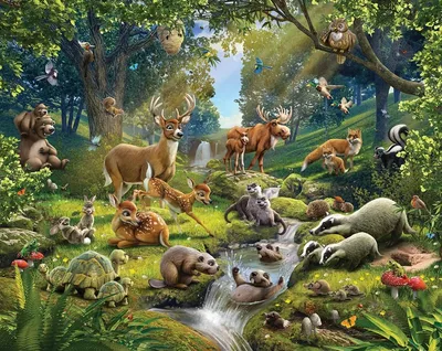 Дикие животные леса картинки для детей - 30 фото