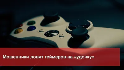 Бились 12 часов: турнир для геймеров с призом 100 тысяч рублей прошел под  Волгоградом