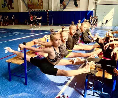 Зеленоград, новости: В Солнечногорске пройдут летние учебно-тренировочные  сборы для художественных гимнасток