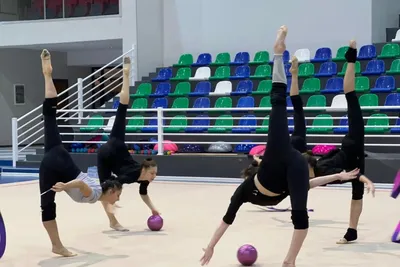 Винер назвала китайских гимнасток \"нашими девчонками\" - РИА Новости Спорт,  02.12.2023