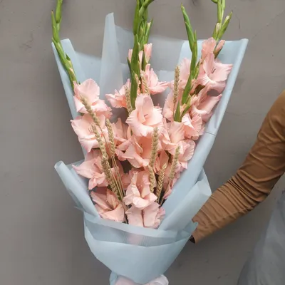 Букет розовых гладиолусов | доставка по Москве и области