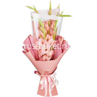 Заказать букет 25 розовых гладиолусов FL-1882 купить - хорошая цена на  букет 25 розовых гладиолусов с доставкой - FLORAN.com.ua