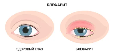 Эти глаза напротив. Что происходит у нас в голове, когда взгляды  встречаются? - BBC News Русская служба