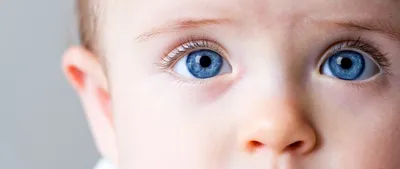 Как устроен человеческий глаз и что в нём меняют глазные болезни - Блог -  «Очки для Вас»
