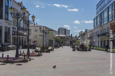 Брест – один из самых красивых городов Беларуси, который непременно стоит  посетить