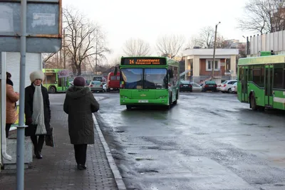 Музей истории города Бреста - фото и видео достопримечательности Беларуси  (Белоруссии)