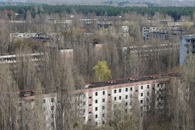 Чернобыль: 31 год после трагедии | Фотогалереи | Известия