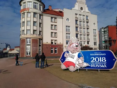 Власти Калининграда сочли инсинуацией польское название города Крулевец —  РБК
