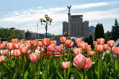 В Киеве получит новые смыслы обелиск, с которого демонтировали советскую  звезду | Журнал Большого Города