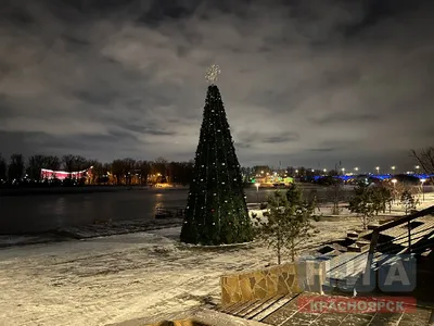 Районные ёлки Красноярска зажгут огни с 25 по 27 декабря