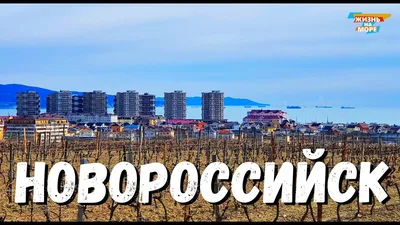 Город Новороссийск: климат, экология, районы, экономика, криминал и  достопримечательности | Не сидится