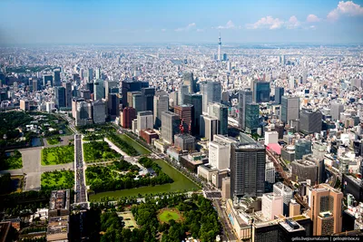 Токио с высоты: как устроена столица Японии | Tokyo from above.