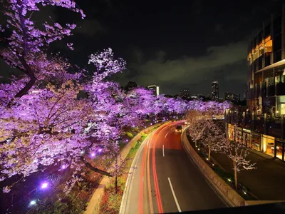 Картинки Токио Япония Улица Вечер Дома город 1920x1200