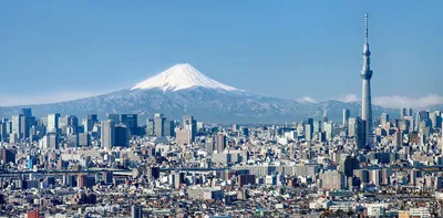 Токио 💥: что это за город, в какой стране находится, описание,  особенности, история, как добраться, где остановиться и что посмотреть —  Tripster.ru