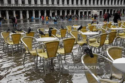 Венеция ограничивает въезд для туристов и вводит плату за вход в 5 евро |  РБК-Україна