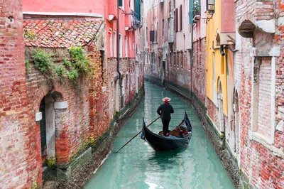 Венеция — магия утреннего города 🧭 цена экскурсии €39, 16 отзывов,  расписание экскурсий в Венеции