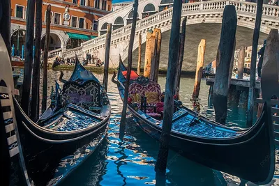 В следующем году Венеция начнет взимать с гостей города плату за въезд -  Turist