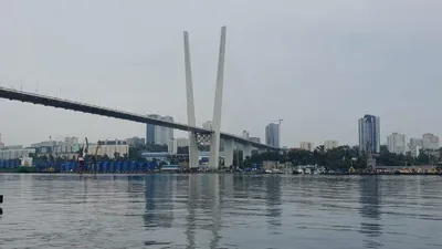 Морская экскурсия \"Огни ночного города\" во Владивостоке 18 ноября 2023 в  Мосты Владивостока