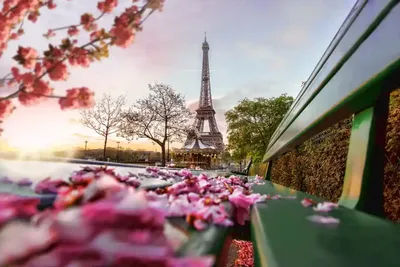 Париж возглавил рейтинг 100 лучших городов мира по версии Euromonitor  International